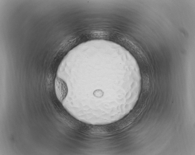 X0000115620557200912081025