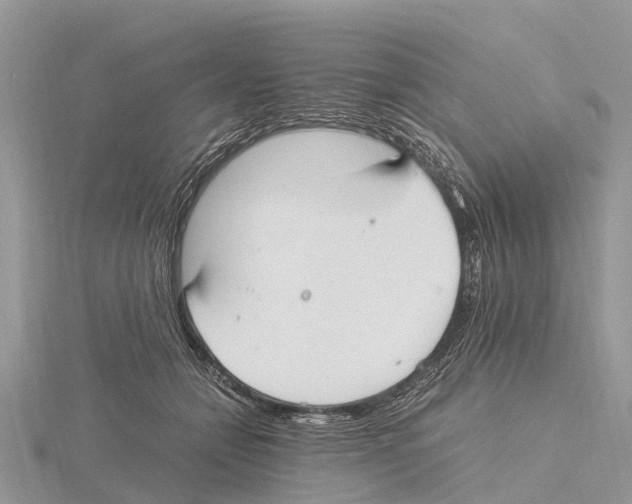 X0000115620558200912081025