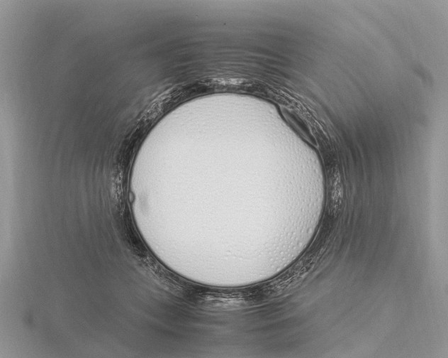 X0000115620559200912081025