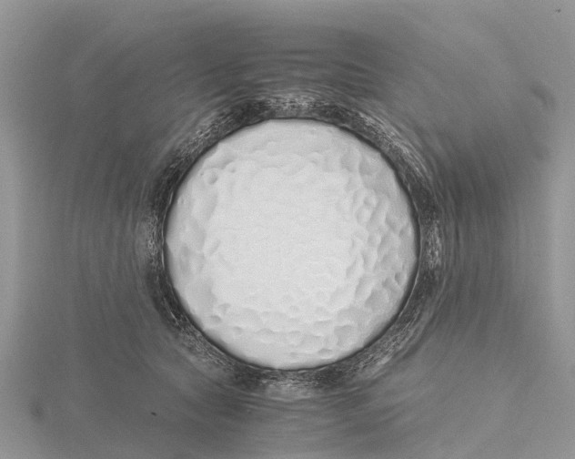 X0000115620561200912081025