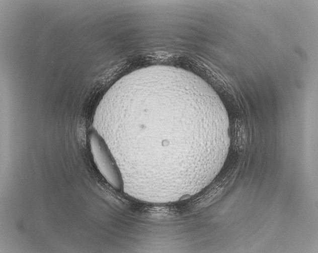 X0000115620562200912081025