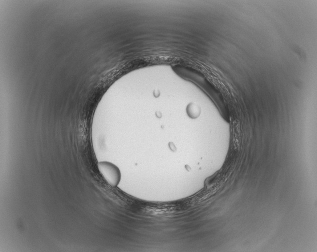 X0000115620563200912081025