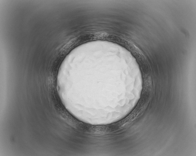 X0000115620565200912081025