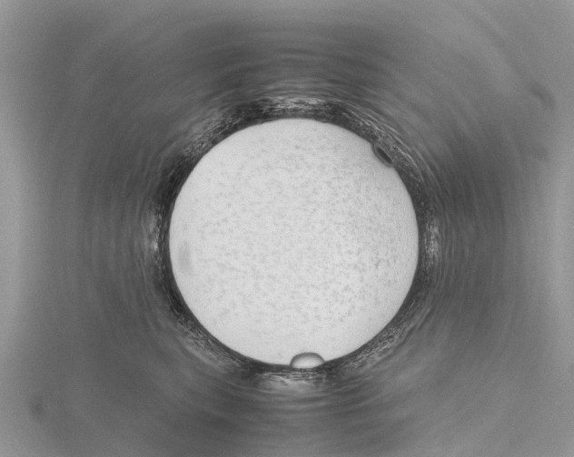 X0000115620567200912081025