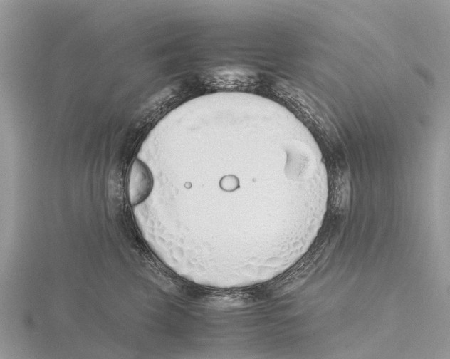 X0000115620569200912081025