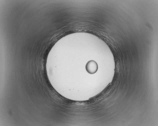 X0000115620570200912081025