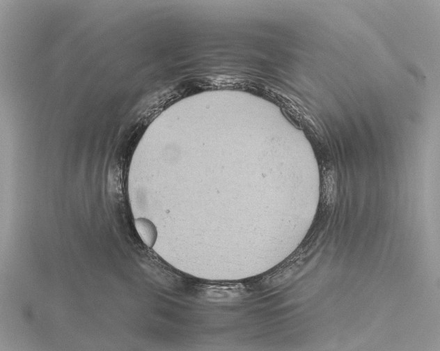 X0000115620571200912081025