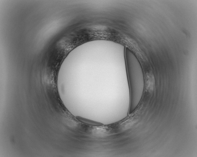 X0000115620573200912081026