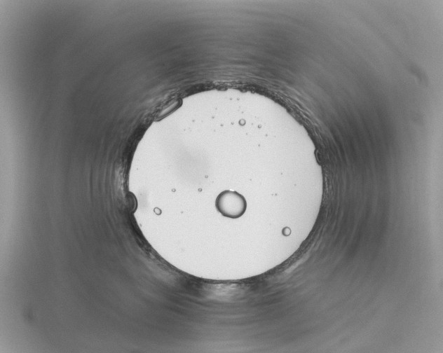 X0000115620575200912081026