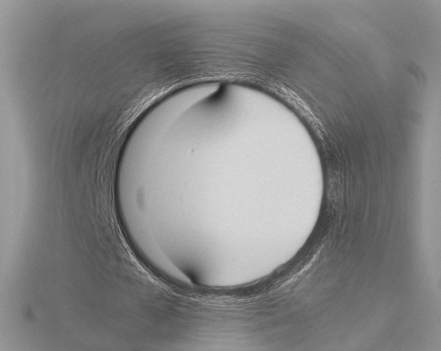 X0000115620577200912081025