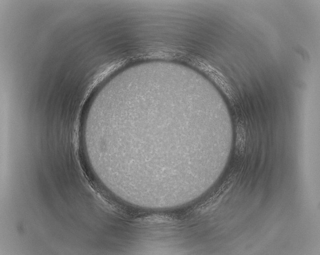 X0000115620578200912081025