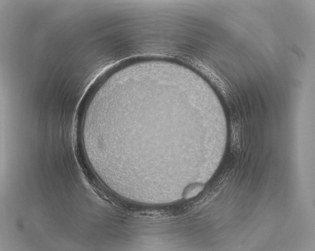 X0000115620580200912081025