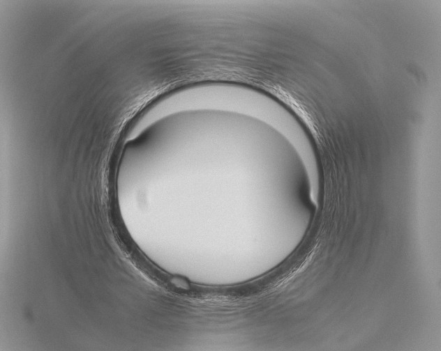 X0000115620581200912081025