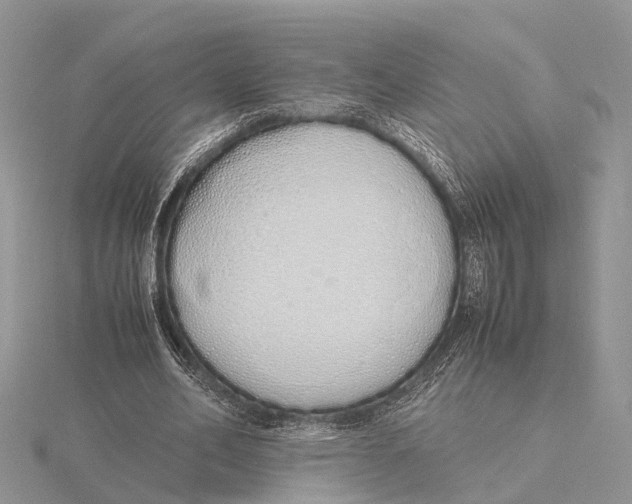 X0000115620582200912081025