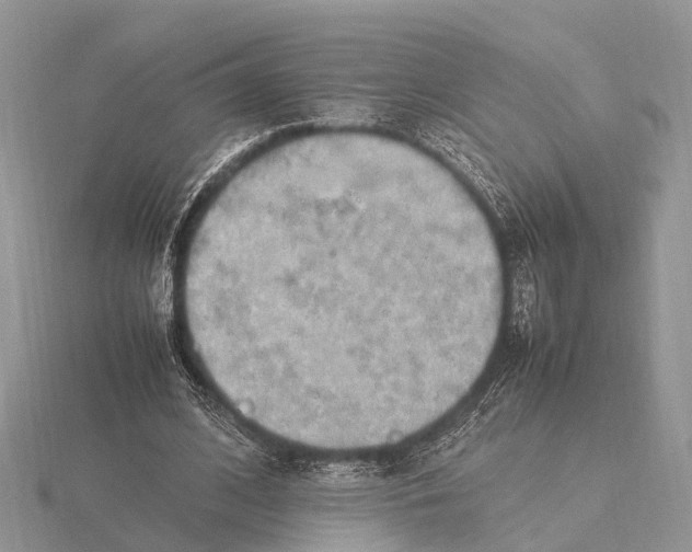 X0000115620584200912081025