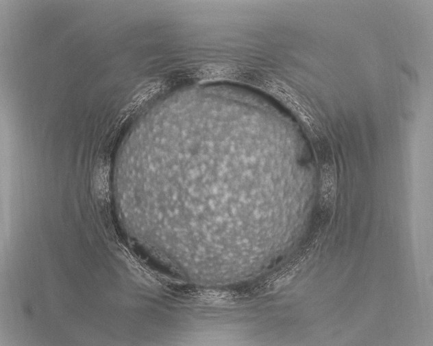 X0000115620585200912081025