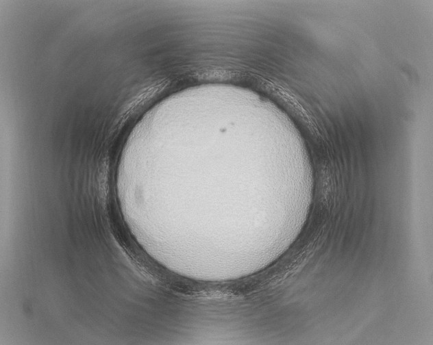 X0000115620586200912081025