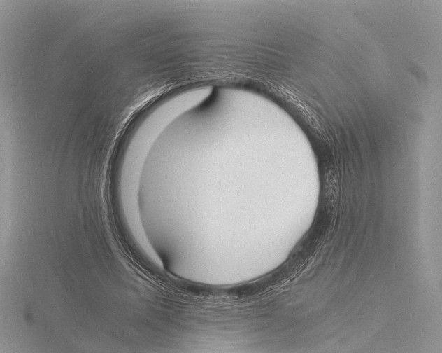 X0000115620587200912081025