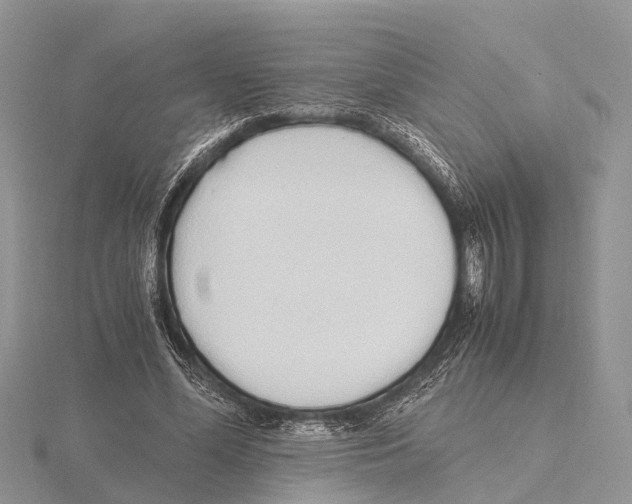 X0000115620588200912081025