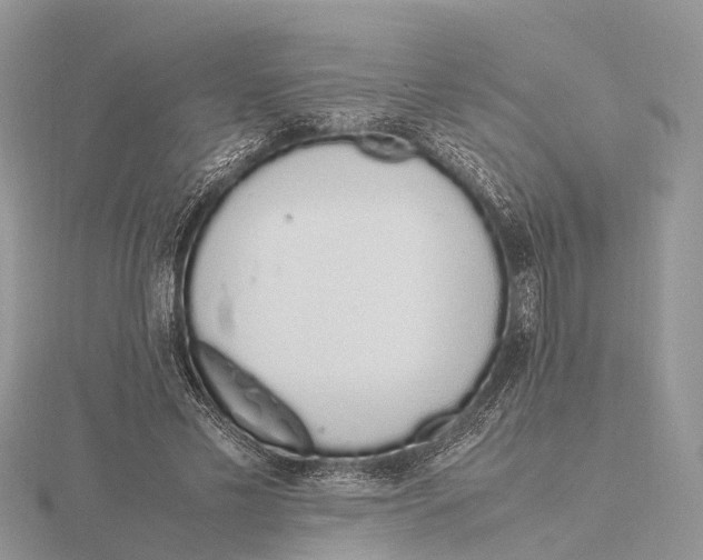 X0000115620589200912081025