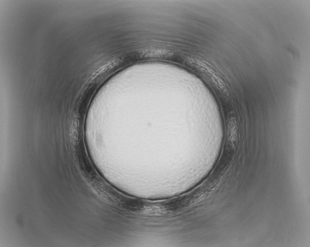 X0000115620591200912081025