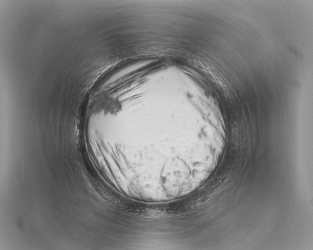 X0000115620592200912081025