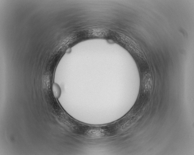 X0000115620595200912081025