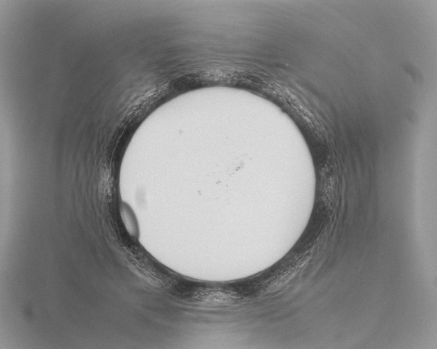 X0000115620597200912081025