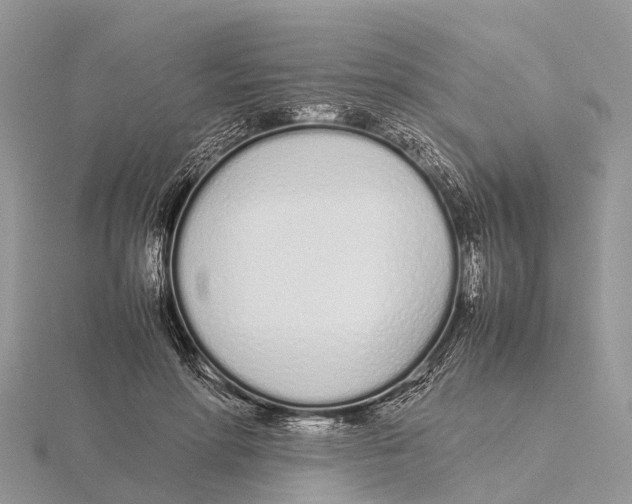 X0000115620598200912081025