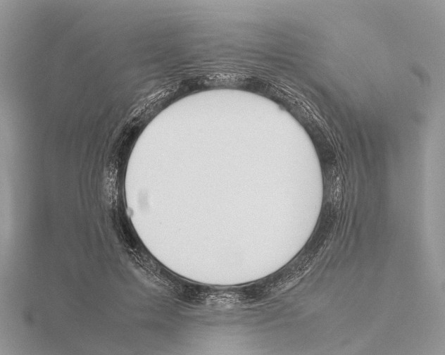 X0000115620599200912081025