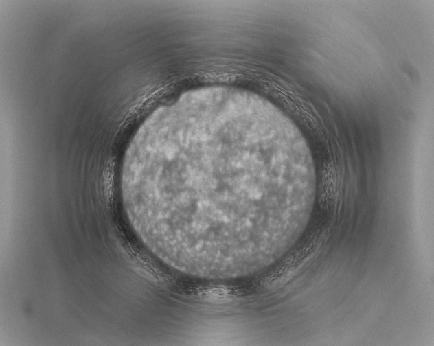 X0000115620600200912081025