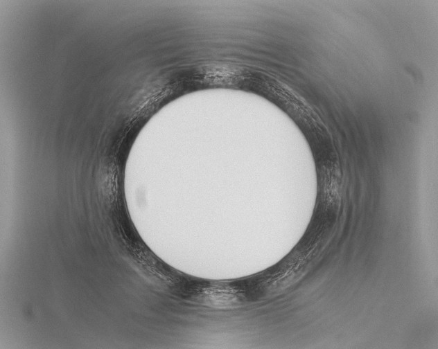 X0000115620603200912081025