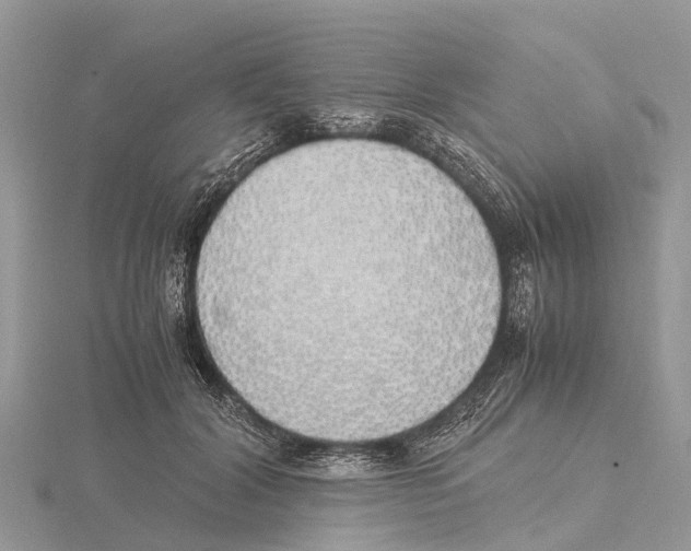 X0000115620604200912081025