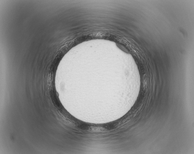 X0000115620605200912081025