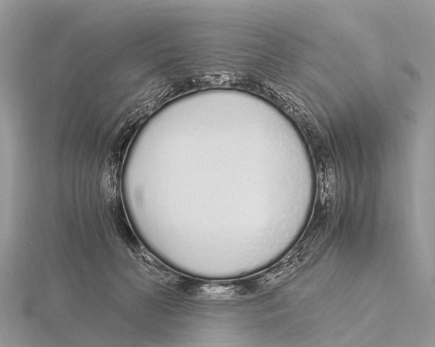 X0000115620606200912081025