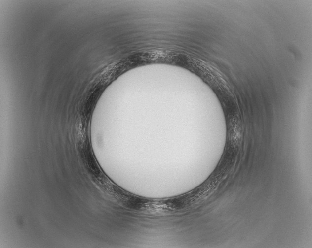 X0000115620607200912081025