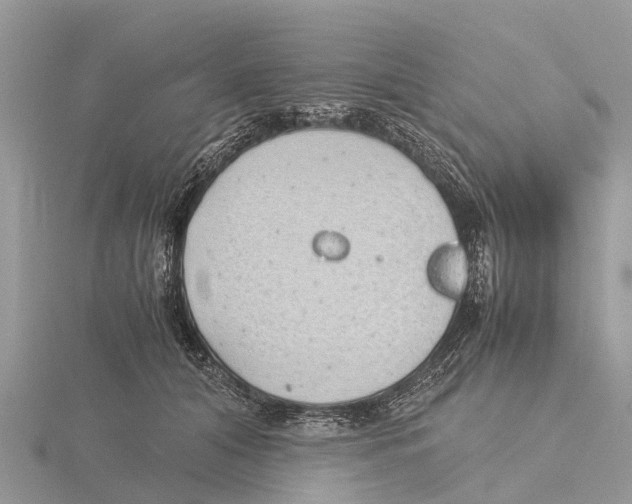 X0000115620608200912081025