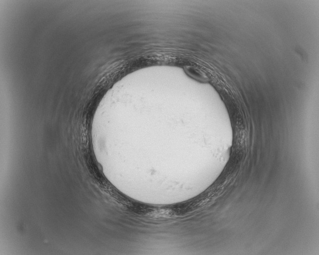 X0000115620609200912081025