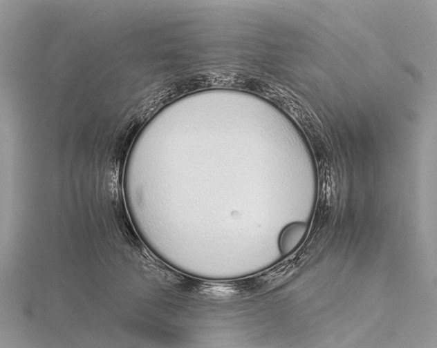 X0000115620610200912081025