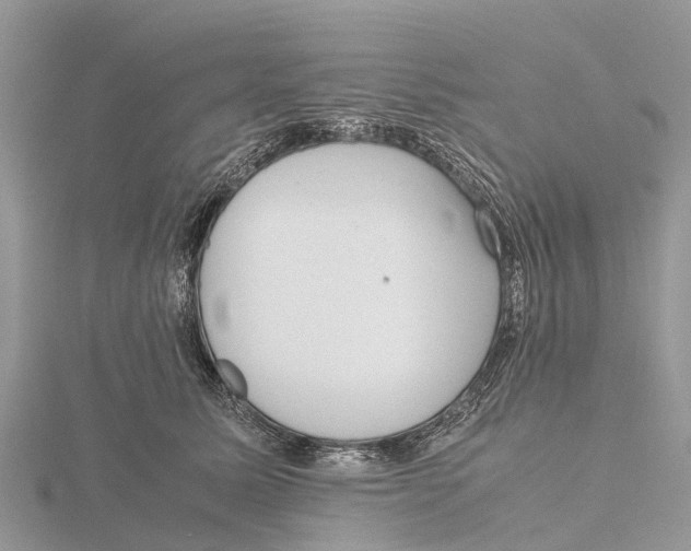 X0000115620611200912081025