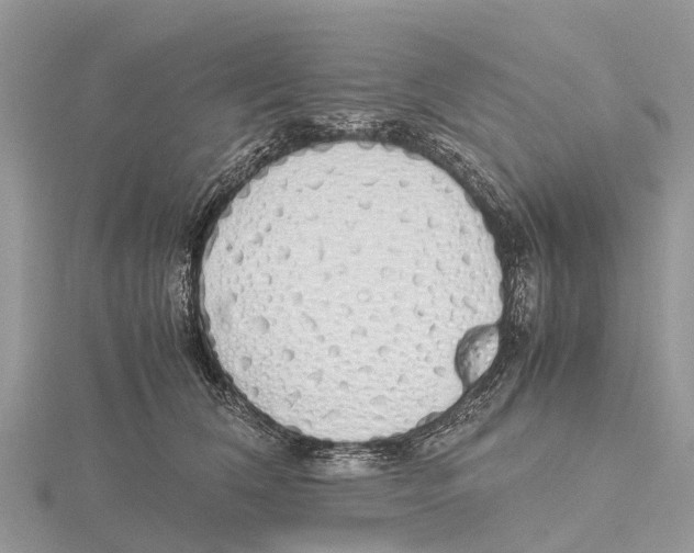 X0000115620612200912081024