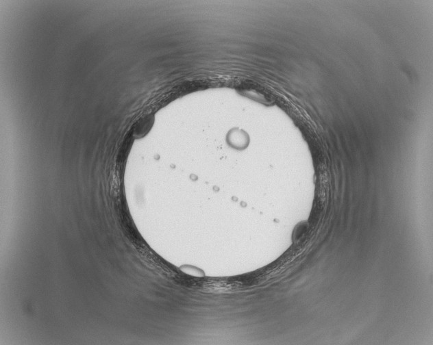 X0000115620613200912081024