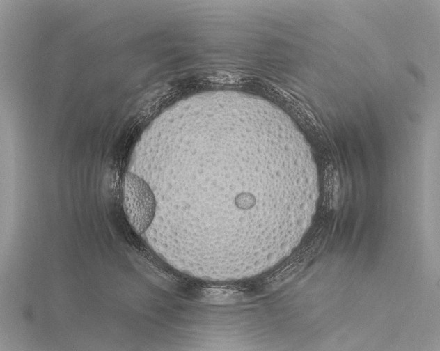 X0000115620614200912081024