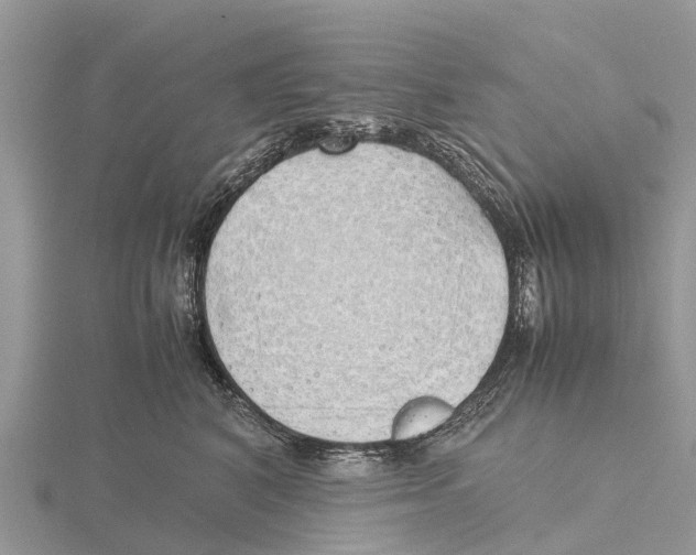 X0000115620616200912081024