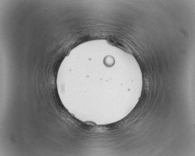 X0000115620617200912081024