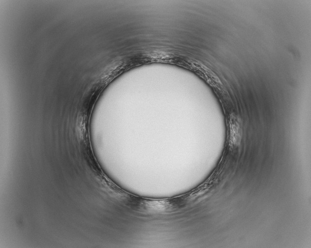 X0000115620618200912081024