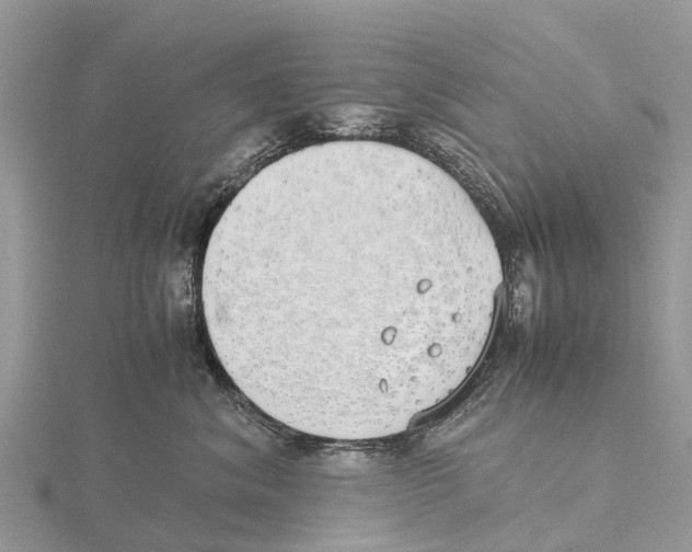 X0000115620620200912081024