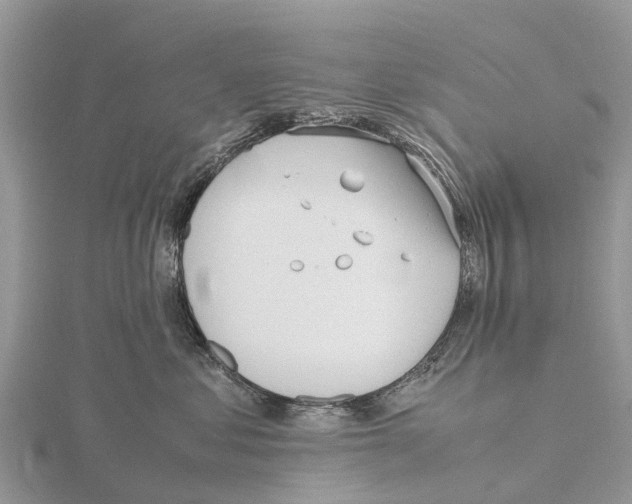 X0000115620621200912081024