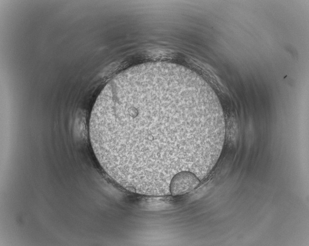 X0000115620622200912081024