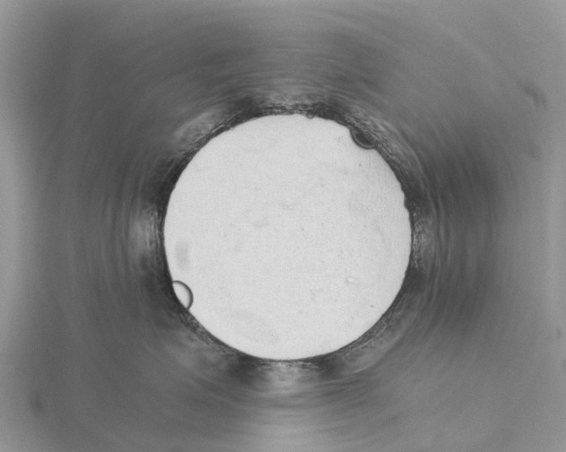 X0000115620623200912081024